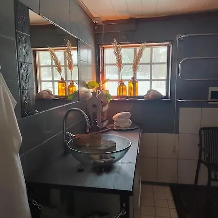 Poeljaenmylly Kosken Rannalla *