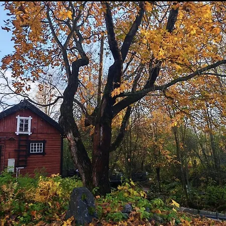 Koskimylly -Historiallinen Elaemysmajoitus Siilinjarvi