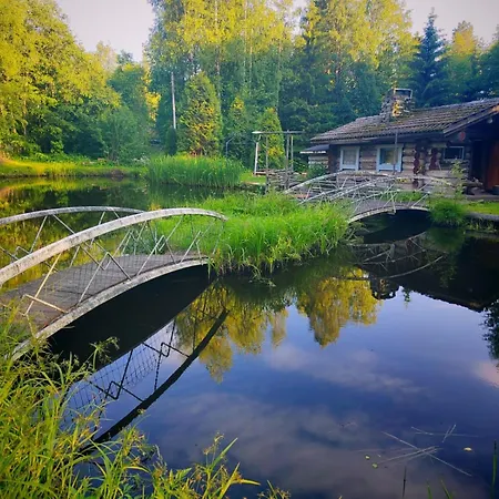 Koskimylly -Historiallinen Elaemysmajoitus Villa Siilinjarvi