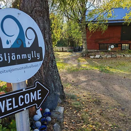 Koskimylly -Historiallinen Elaemysmajoitus Villa Siilinjarvi
