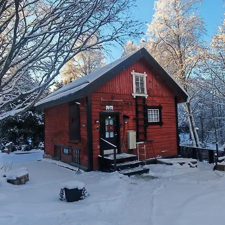 Koskimylly -Historiallinen Elaemysmajoitus Villa Siilinjarvi